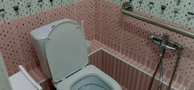 Meeting Diverse Needs With Accessible Restroom Solutions in Eastlake, OH