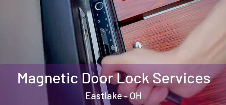 Magnetic Door Lock Services Eastlake - OH