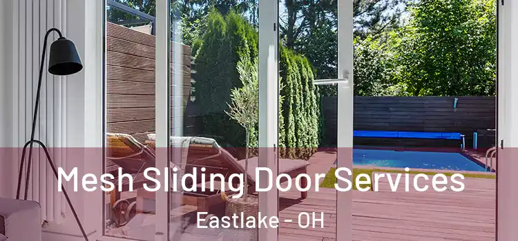 Mesh Sliding Door Services Eastlake - OH